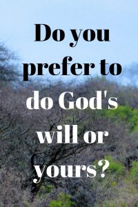 Assignment: Do you prefer to do God's will or yours_