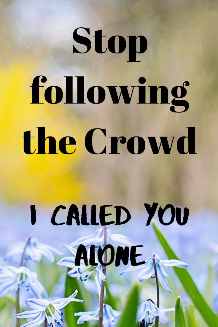 crowd: Stop following the Crowd I called you alone