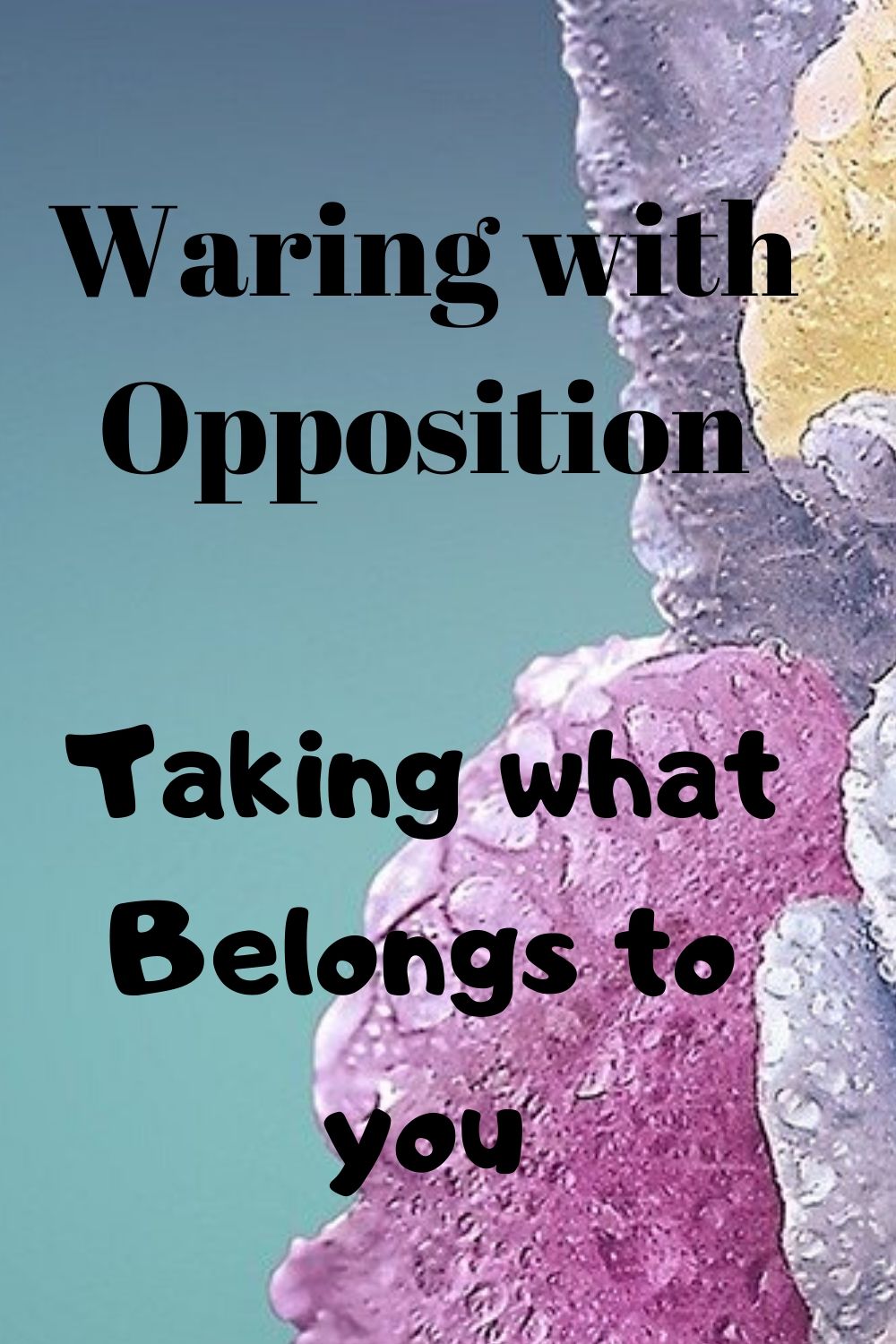War: Waring with Opposition Taking what Belongs to you
