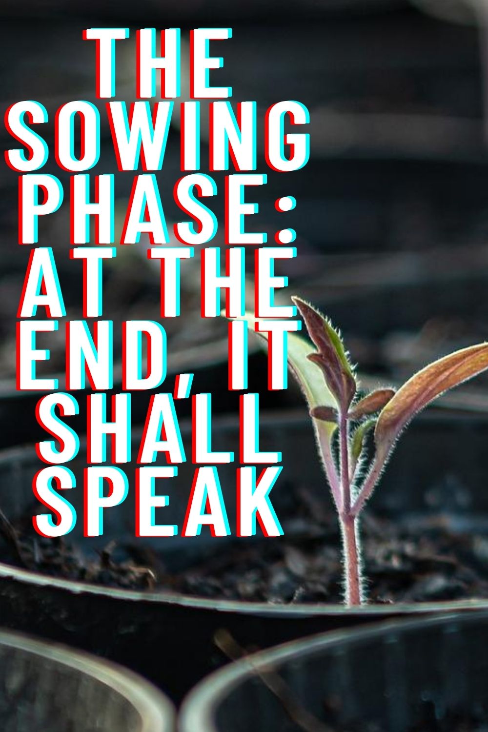 The Sowing phase: At the end, it shall speak