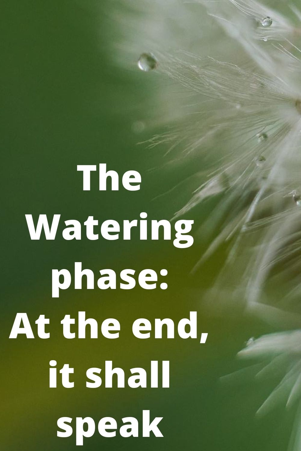 The watering phase: At the end, it shall speak
