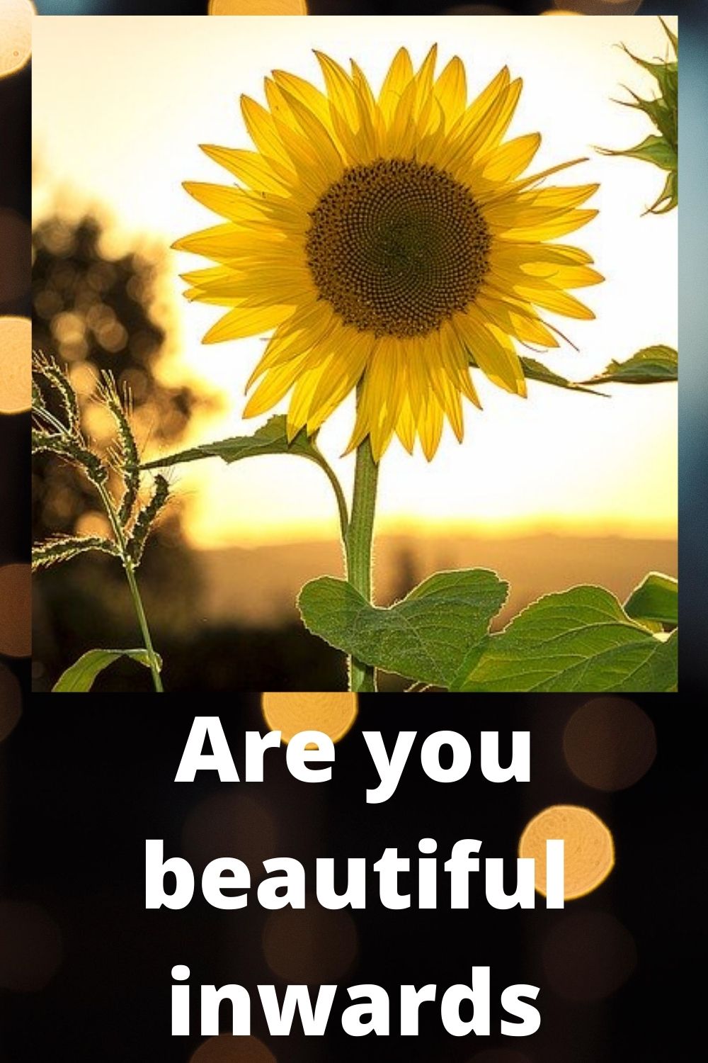 Are you beautiful inwards