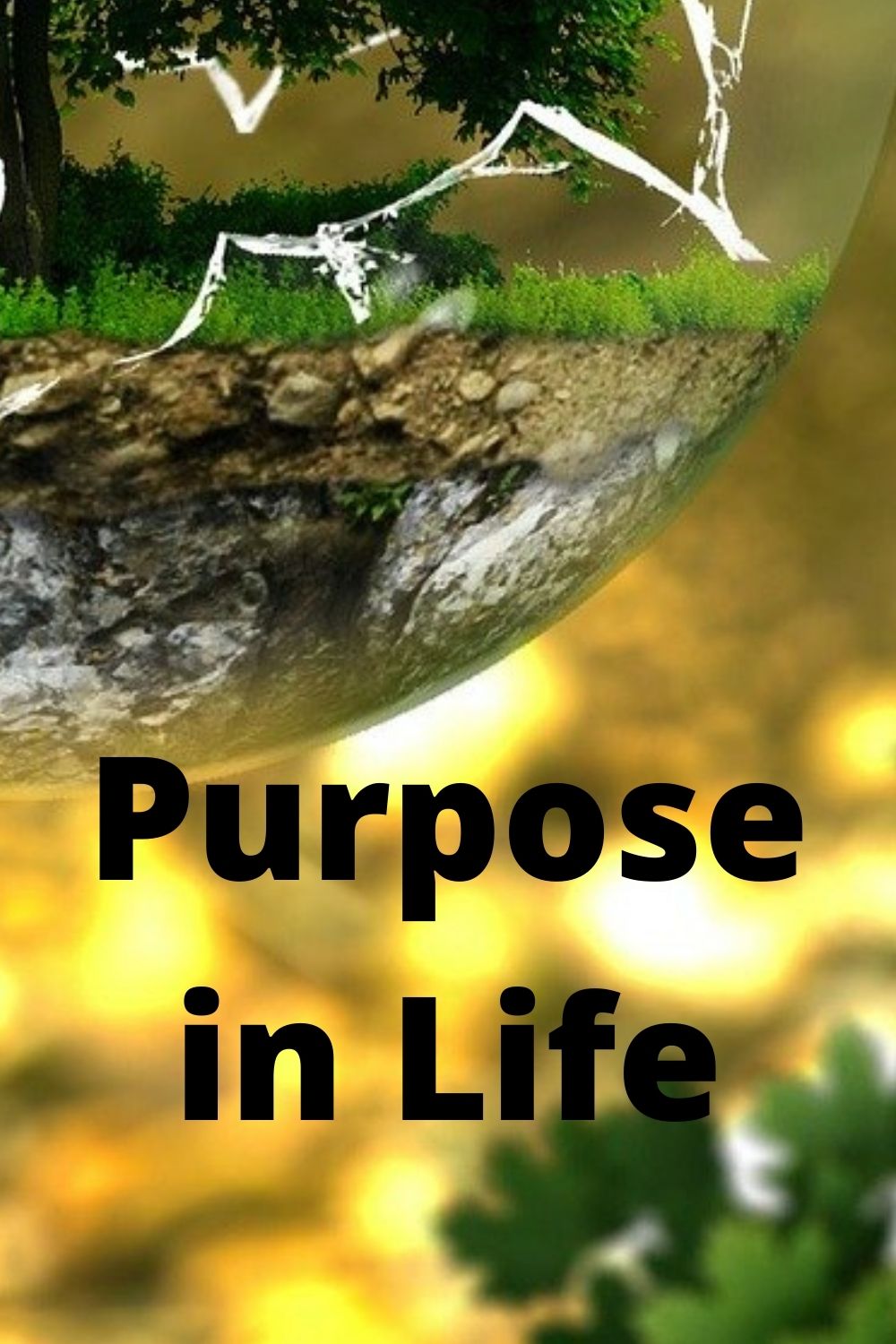 Purpose in Life