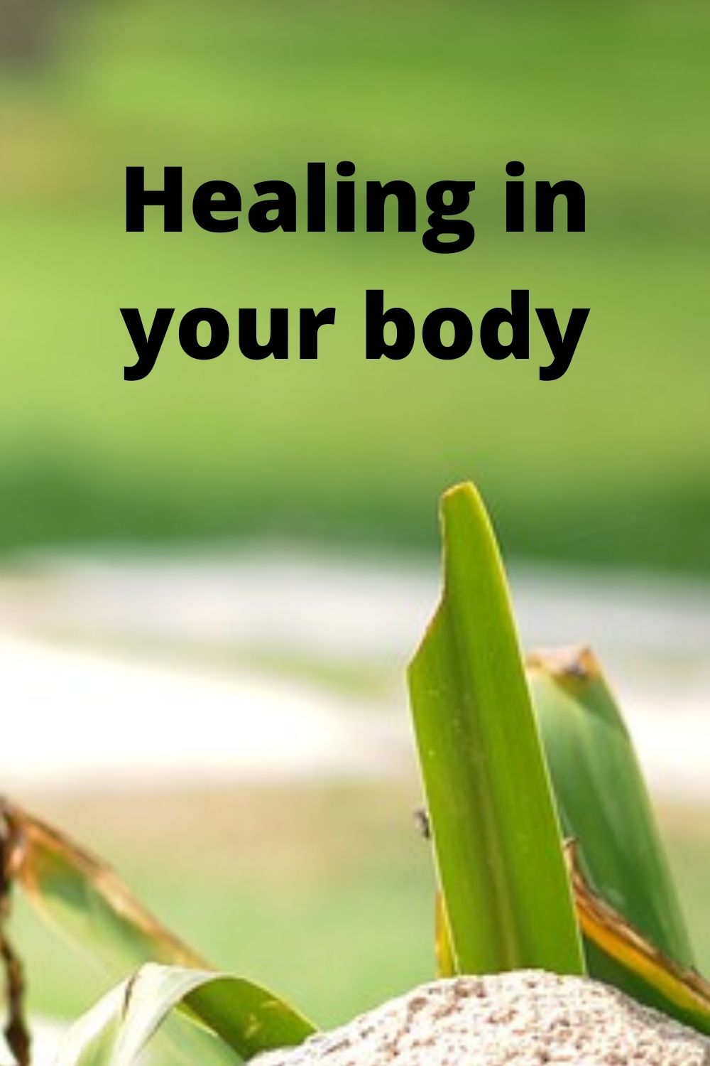 Sound health and wellness: Healing in your Body
